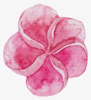 Watercolour Watercolor Sticker Ftestickers Flowers - Sweet Pea #146916