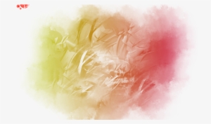 Profile Cover Photo - Blog #147432