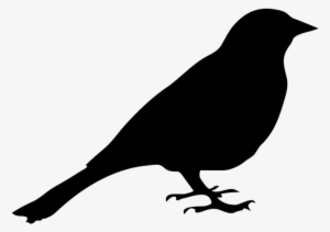Bird Silhouette - Silhouette Of Pigeon #147673 Bird Silhouette - Silhouette Of Pigeon #147673