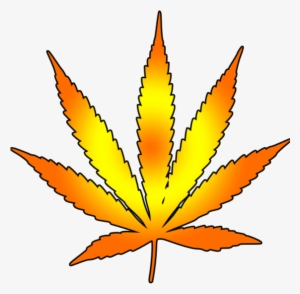 Weed Clipart Leaf Draw - Weed Logo Transparent Background #147676