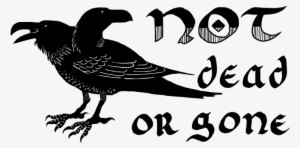 Our Domain Names Are Managed Through Hover - American Crow #147860