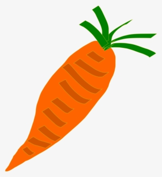 Carrot #148105