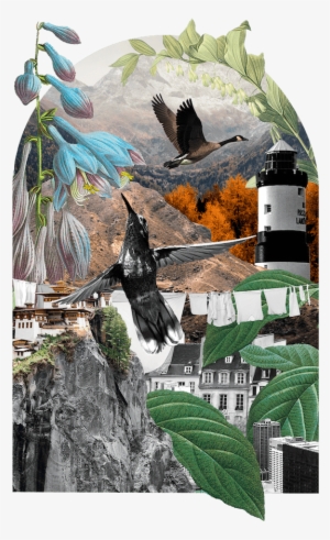 Benefit-collage - Website #148129