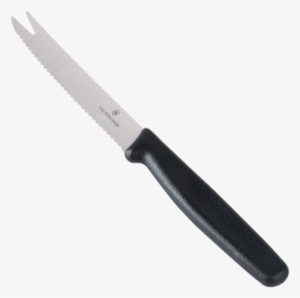 Kitchenware - Knife Serrated #148131