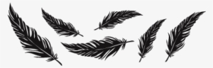Tumblr Png Images Tumblr Png Images Tumblr Png Drawings, - Plumas De Hush Hush #148154