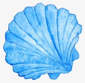 Seashell Watercolor Painting Photography Royalty - Seashell Watercolor #148231