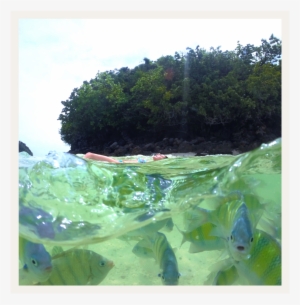 Photo Credit Maria Fernanda Garcia Via Virtuoso - Food & Wine #148345