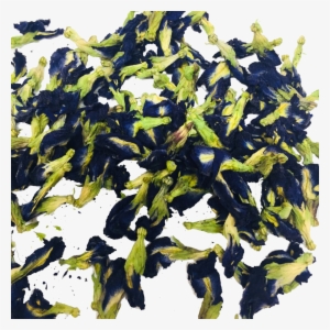 Butterfly Pea Flower Tea #148382