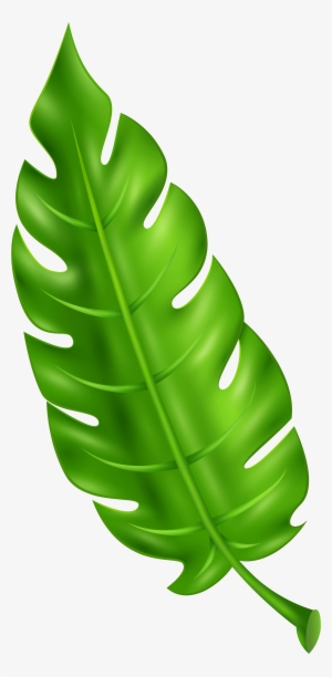Exotic Green Leaf Clip Art Png Imageu200b Gallery Yopriceville - Leaf Clipart Png #148671