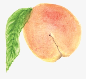 File - 桃子peach - Wikimedia Commons #148808