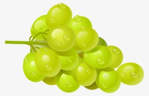 White Grape Png Clipart Picture #149114