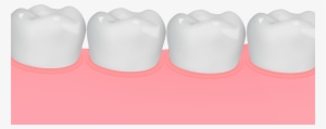 Gum And Teeth Png Clip Art Image - Tongue #149631