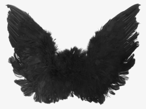 Wings Black Dark Grunge Png Editpng - Free Black Angel Wings #149698
