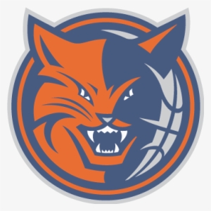 07-08 New Logos - Charlotte Bobcats Logo Png #1403302
