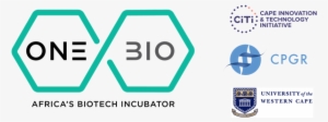 Onebio, In Partnership With Citi And Cpgr, To Run A - University Of The Western Cape #1404583