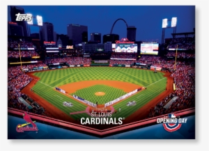 Louis Cardinals - St. Louis Cardinals Photo Mint Coin-bronze #1405294