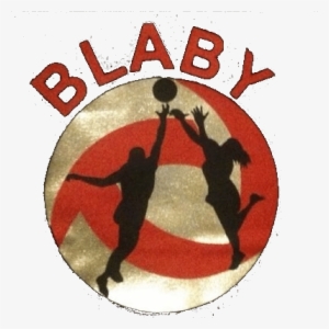Blaby Netball Club Was Established In 2012 As A Back - North West Leicestershire #1406468