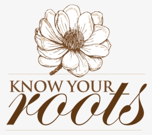 Know Your Roots Logo - Frilly Frocks #1409161