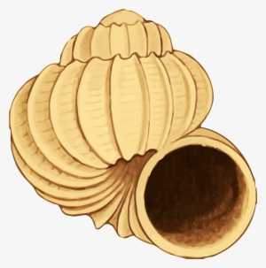 Shell Clipart Yellow Sea - Sea Shell 38 #1409785