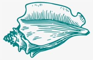 Teal Conch Shell Clip Art At Clker - Clip Art Conch Shell #1411369