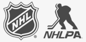Collegiate Consulting Completes Five Nhl Funded Hockey #1414361