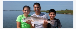 Low Country Fishing Remains Consistent - North Carolina #1414911