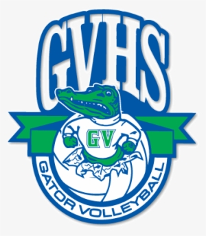 Volleyball Green Valley Gators #1417055