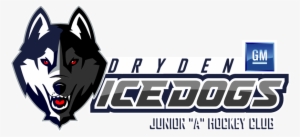 3x4 Logo Decal Connecticut Huskies #1420043