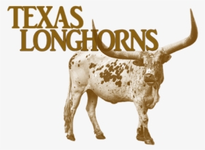 Click And Drag To Re-position The Image, If Desired - Texas Longhorns Football #1422407