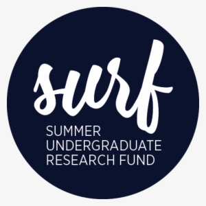 Surf Logo - Wix Icon #1423669