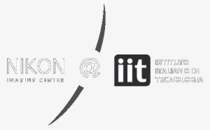 Istituto Italiano Di Tecnologia #1423798