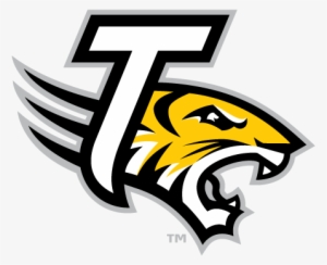 Format - Towson University Tiger #1424655