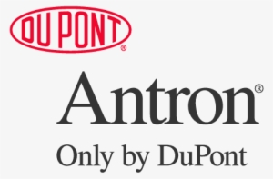 Report - Dupont Pioneer #1426096