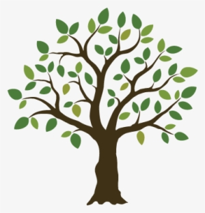 Logo Tree Png - Tree Illustration #1426389