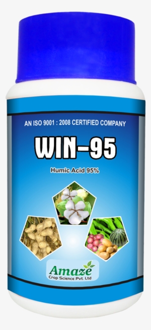 Win-95 - Private Limited Company #1427284