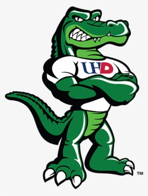 Houston, Tx There's A New Gator Prowling The Halls - Uhd Gator #1428406