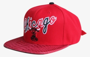 Hatsurgeon X Mitchell & Ness Chicago Bulls Nba Big #1428813