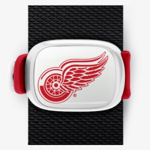 Detroit Red Wings Stwrap - Detroit Red Wings 8 Inch Logo Magnets #1429682