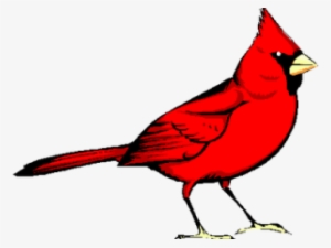 Graphic Freeuse Library Cardinal Clipart - Red Bird #1430655