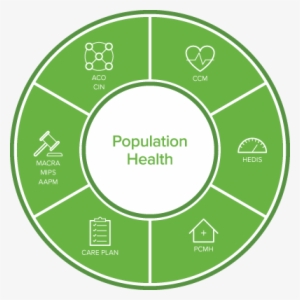 Analytics, Patient Engagement, Care Planning, Referral - A.p.e. International #1431036