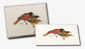 Shopping Cart -  -  - Field Guide Art Of Roger Tory Peterson #1433306