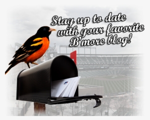 Twitter - Congratulations New Job #1433384