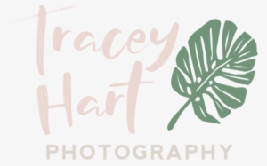 Creative Photography Logo Ideas Png Jpg Freeuse Library - Library #1434156