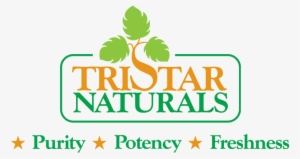 Project Description - Tristar #1434227