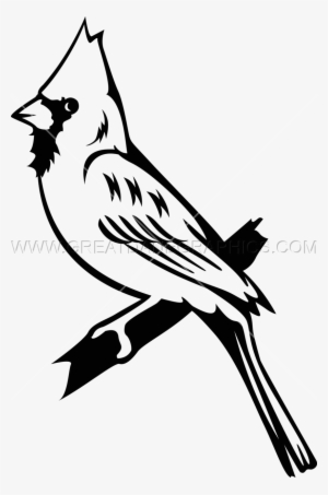 Bluejay Drawing Cardinal - Black And White Cardinal Clipart Transparent #1434514