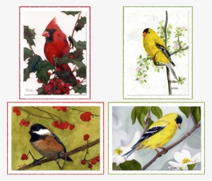 “new England Lighthouses” - Cardinal #1434612