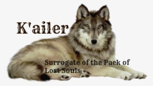Wolves And Search On Pinterest Wolf Clipart #1437458