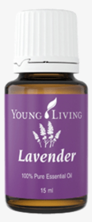 Young Living Lavender Essential Oil 15 Ml #1438664