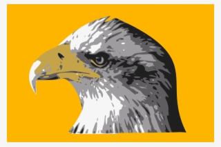 Bald Eagle Bird Hawk Drawing - Coque Apple Iphone 8 Tete D'aigle Royal #1440324