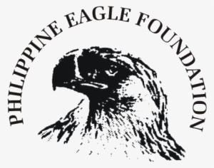 Philippine Eagle Clipart Philippine Eagle Logo - Philippine Eagle Davao Logo #1440364